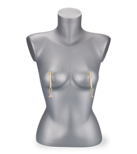 Load image into Gallery viewer, Naughty Mermaid nipple clamps