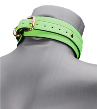 Load image into Gallery viewer, Neon green collar and lead