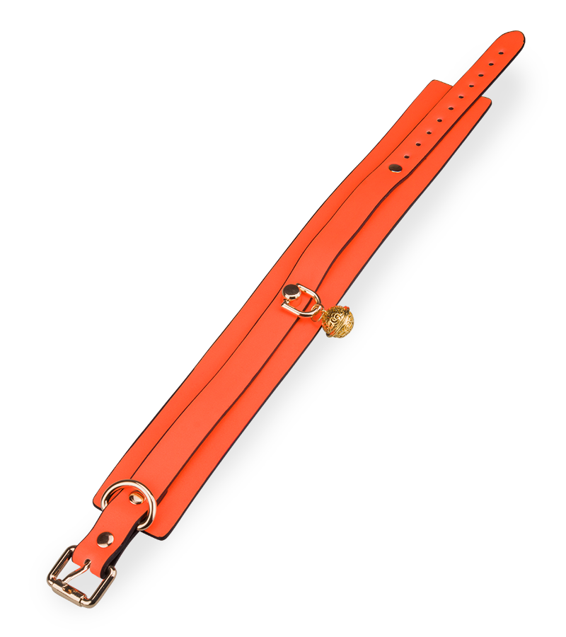 Neon orange collar and lead