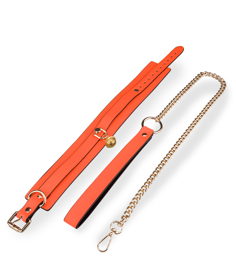 Neon orange collar and lead