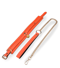 Load image into Gallery viewer, Neon orange collar and lead