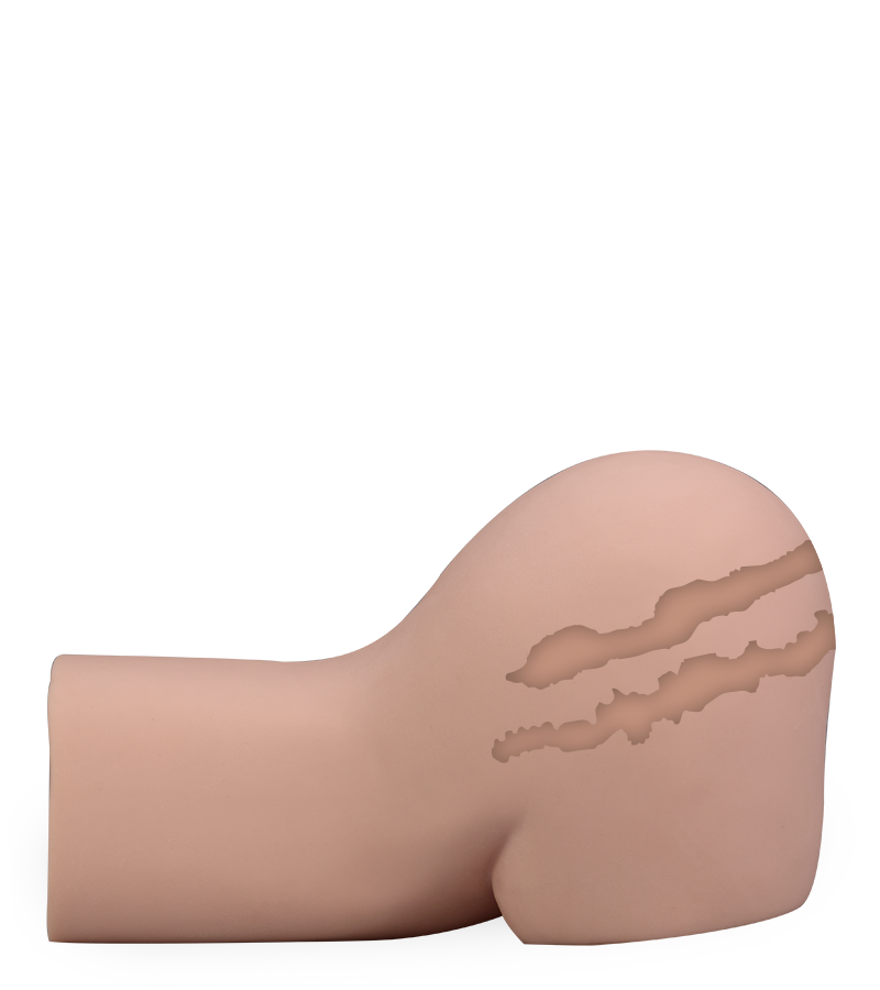 Ninon realistic ass and vagina masturbator 19 lb