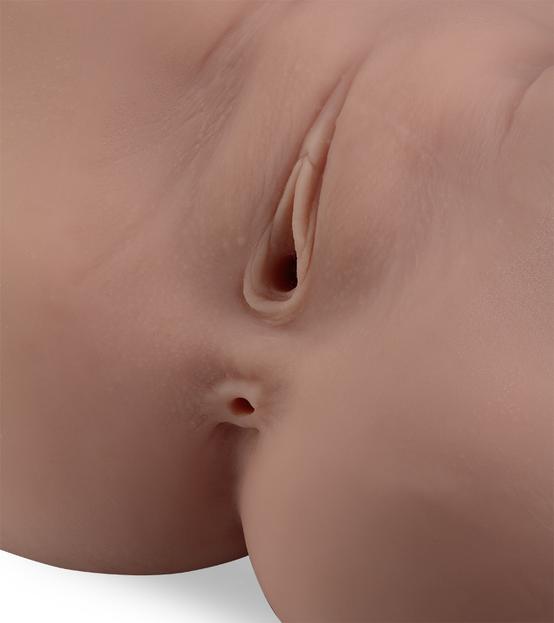 Pamela life-size ass and vagina masturbator 18.75 lb