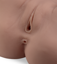 Load image into Gallery viewer, Pamela life-size ass and vagina masturbator 18.75 lb