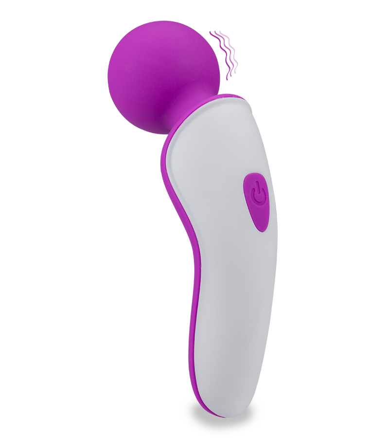 Passenger mini vibrator wand