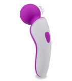 Passenger mini vibrator wand