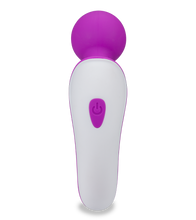 Load image into Gallery viewer, Passenger mini vibrator wand