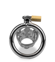 Load image into Gallery viewer, Pig Chinese zodiac penis chastity cage