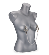 Load image into Gallery viewer, Pincher nipple clamps with chain