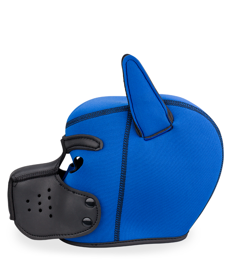Puppy Play colourful neoprene dog hood