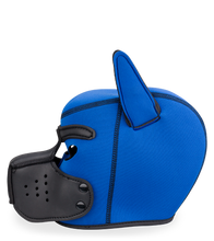 Load image into Gallery viewer, Puppy Play colourful neoprene dog hood