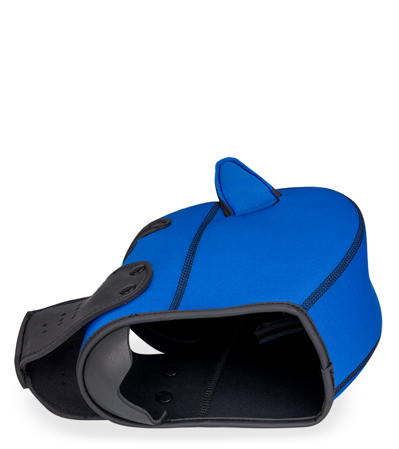 Puppy Play colourful neoprene dog hood