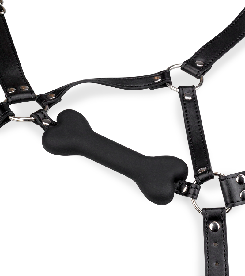 Puppy Play silicone dog bone harness gag 4.75 inches