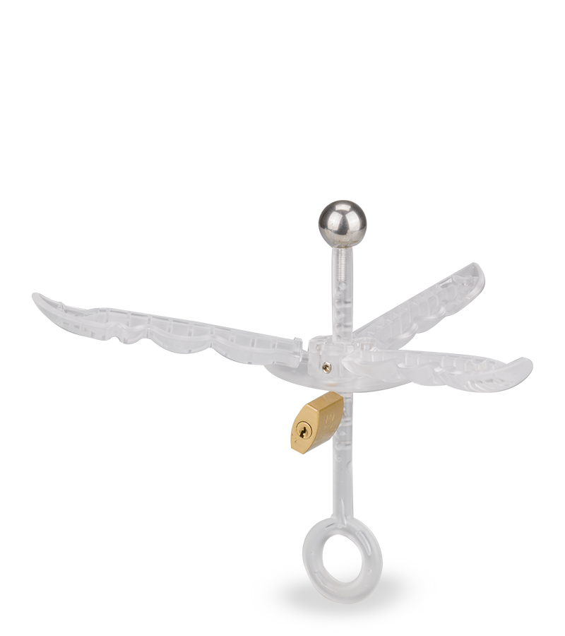 Pusher anal spreader with padlock