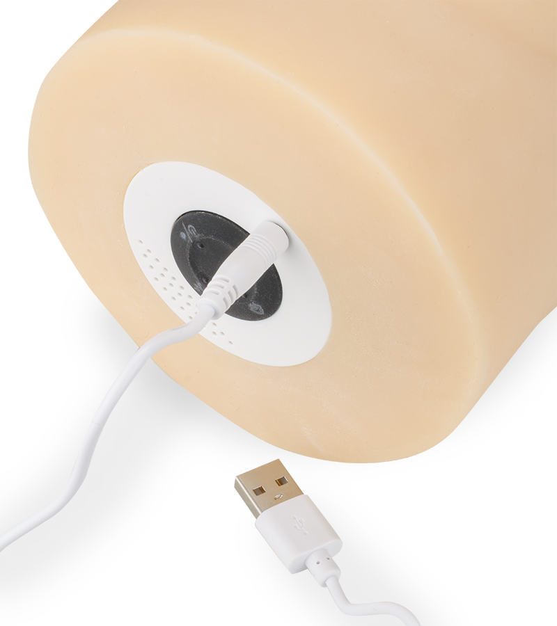 Raffaela TPE vaginal masturbator with suction, thrusting, vibration and heating functions