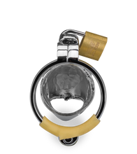 Load image into Gallery viewer, Rat Chinese zodiac penis chastity cage