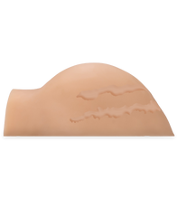 Load image into Gallery viewer, Realistic vagina and ass 7 lb