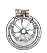 Load image into Gallery viewer, Repentance small chastity cage