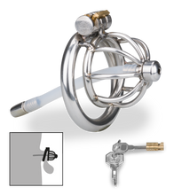 Load image into Gallery viewer, Repentance small penis cage with urethral probe