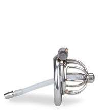 Load image into Gallery viewer, Repentance small penis cage with urethral probe