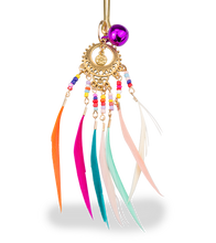 Load image into Gallery viewer, Rio nipple clamps with bells