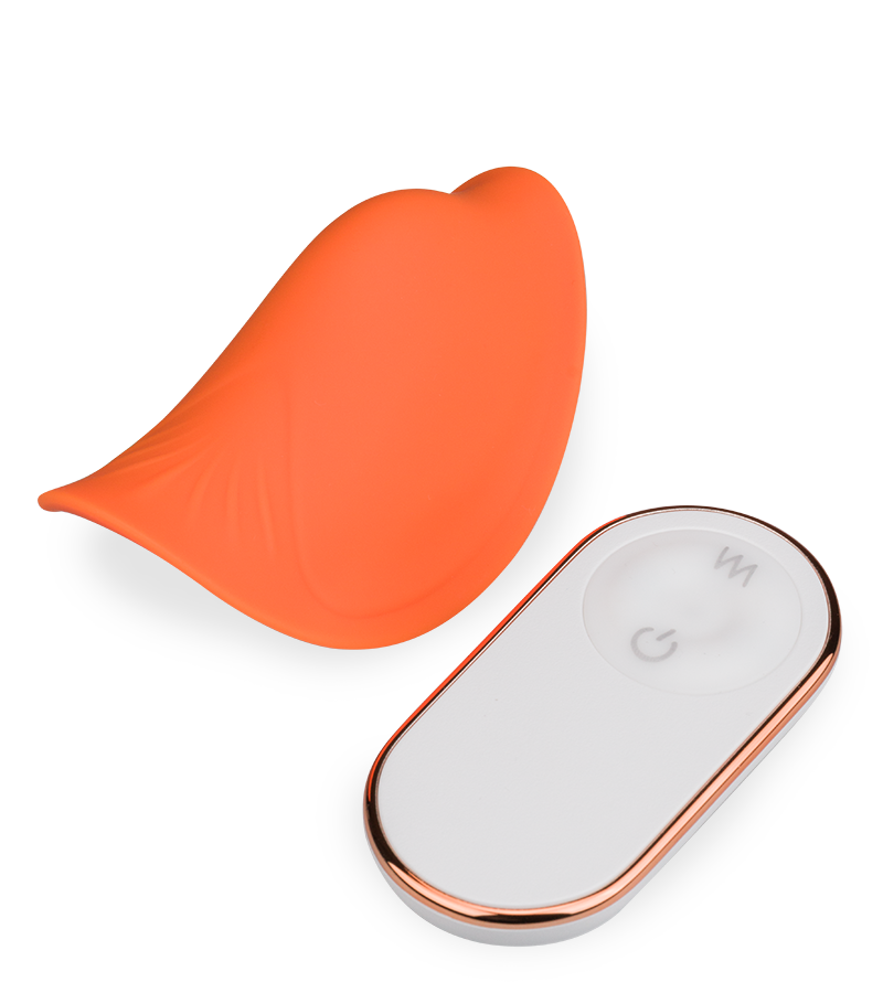 Riviera remote-controlled vibrating knickers