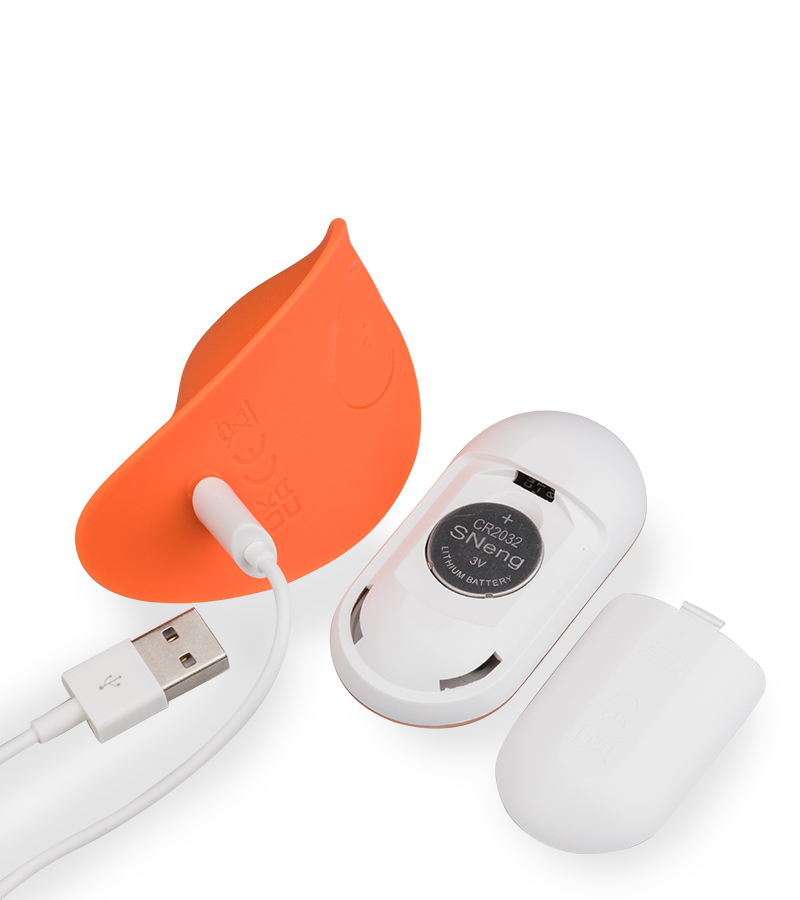 Riviera remote-controlled vibrating knickers