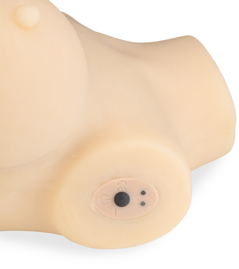 Rosalia vibrating sex torso with suction action 11.00 lb
