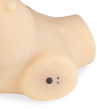 Load image into Gallery viewer, Rosalia vibrating sex torso with suction action 11.00 lb