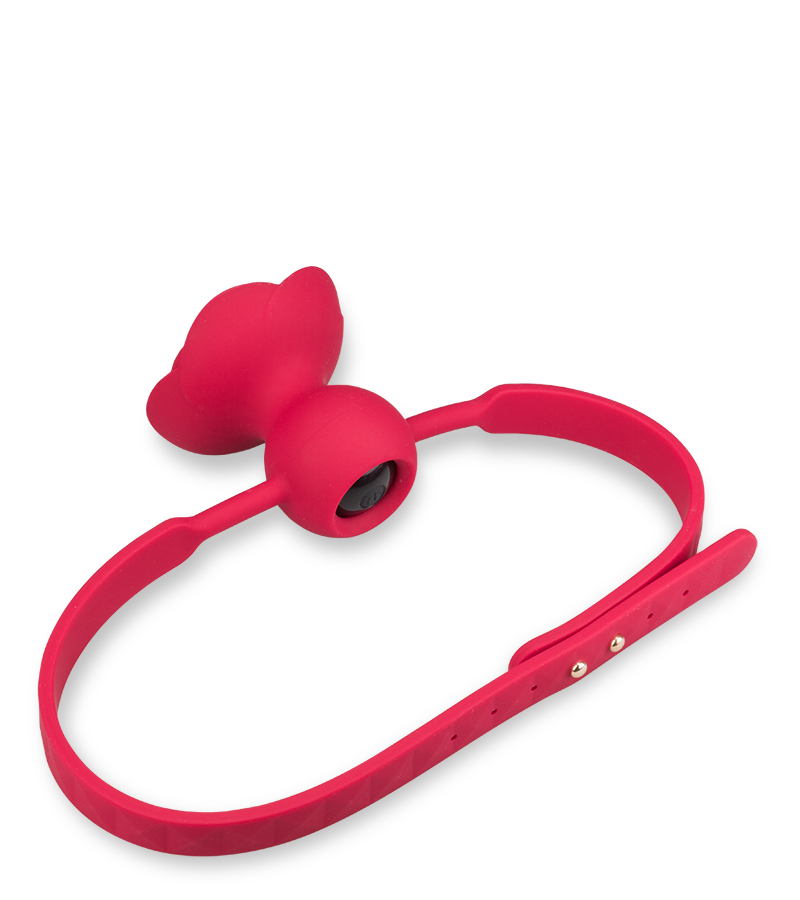 Rosie vibrating ball gag