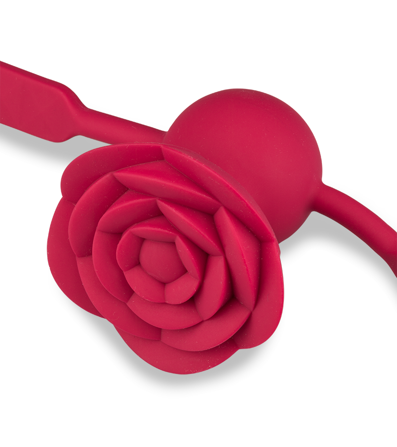 Rosie vibrating ball gag