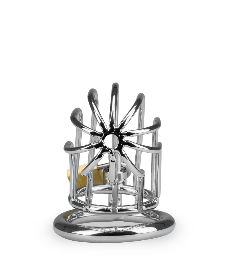 Sentence penis chastity cage