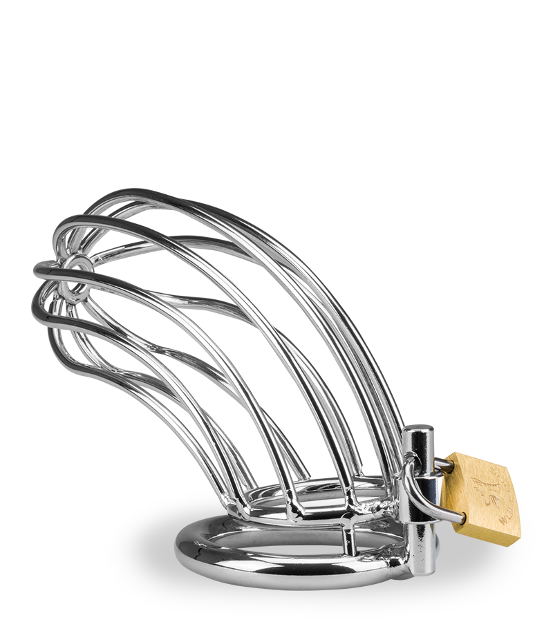 Sentence penis chastity cage