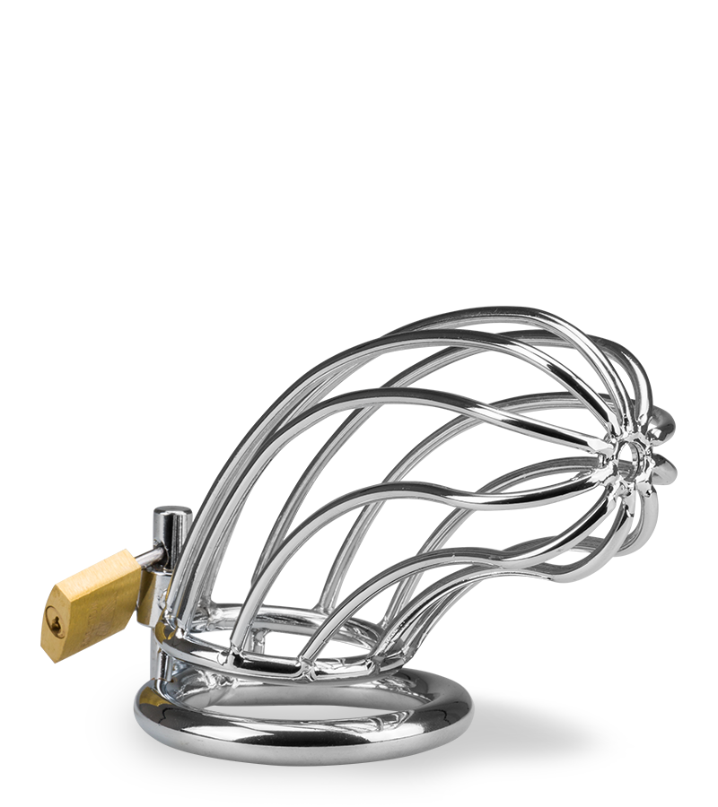 Sentence penis chastity cage