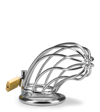 Load image into Gallery viewer, Sentence penis chastity cage