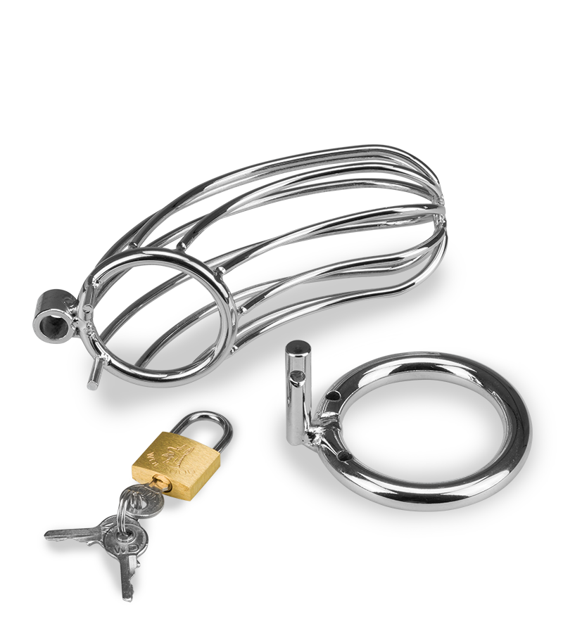 Sentence penis chastity cage