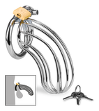 Sentence penis chastity cage