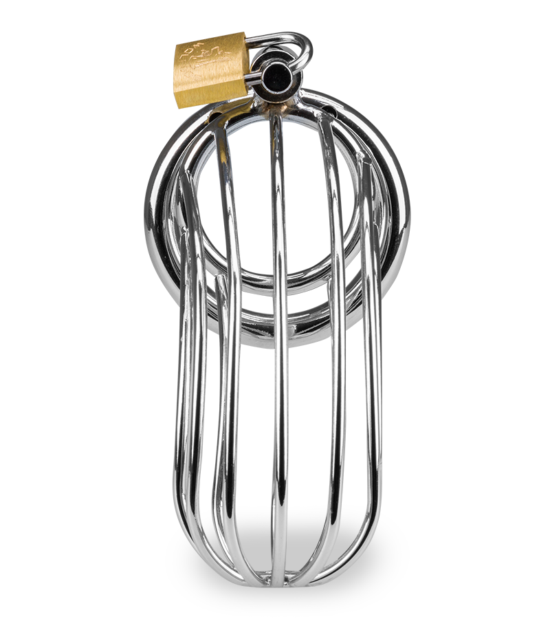 Sentence penis chastity cage