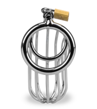 Load image into Gallery viewer, Sentence penis chastity cage