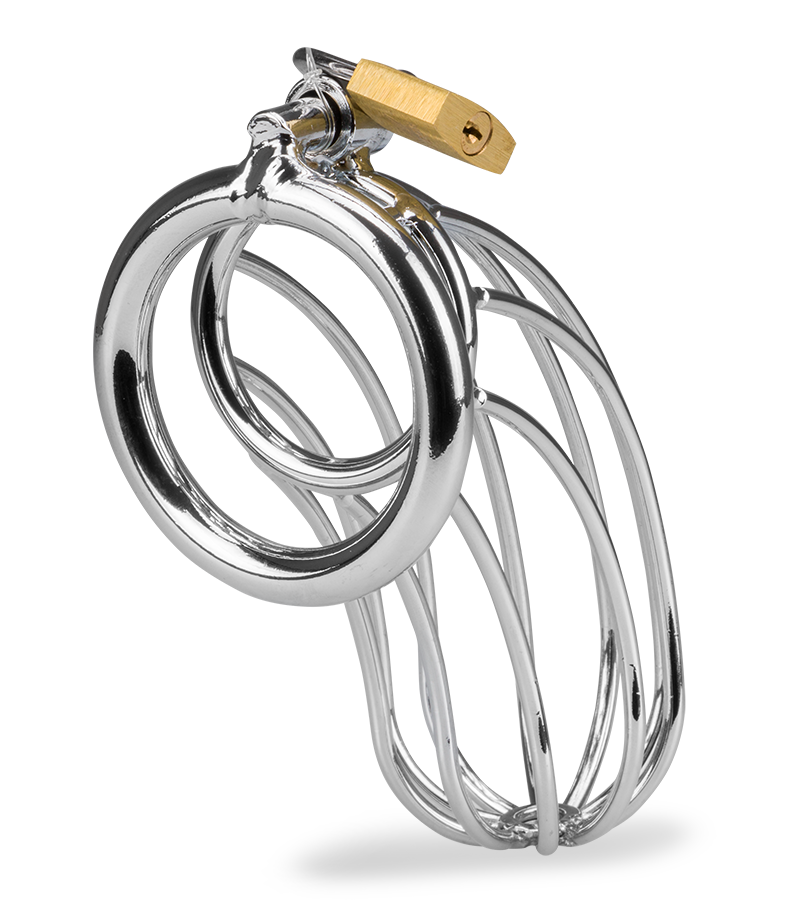 Sentence penis chastity cage