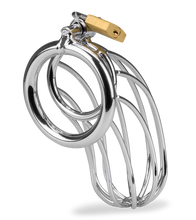 Load image into Gallery viewer, Sentence penis chastity cage