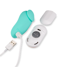 Load image into Gallery viewer, Shadow remote control vibrating panties vibrator