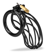 Load image into Gallery viewer, Sheriff penis cage