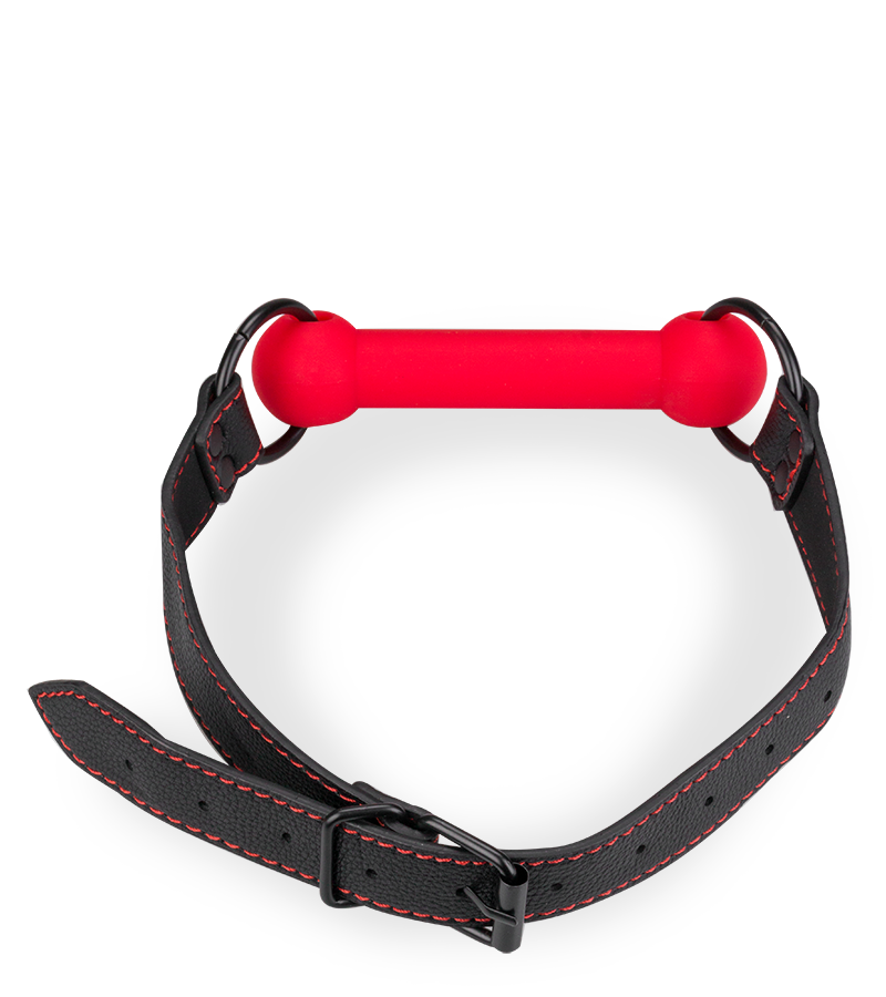 Silicone and faux leather bit gag