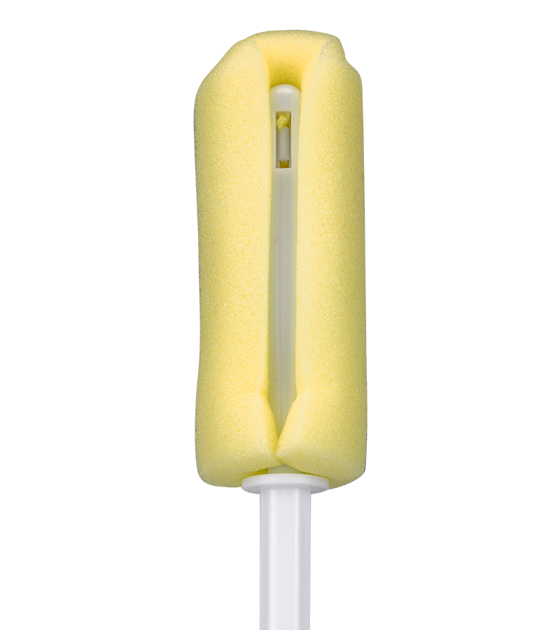 Sponge brush for sex toys