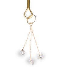 Load image into Gallery viewer, Sprinkles BDSM nipple clamps