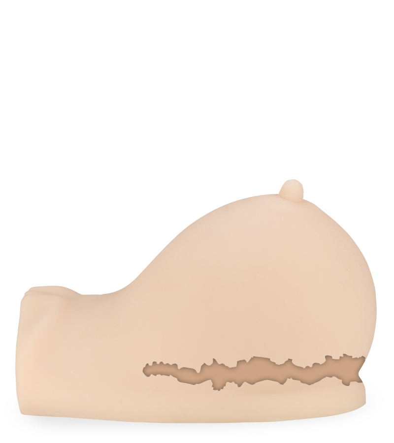 Susanna vibrating breast and mouth masturbator 6.50 lb