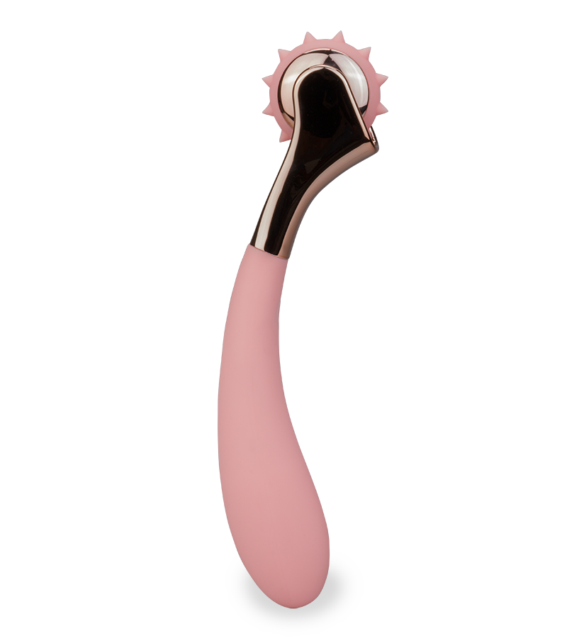 Vibrator with Wartenberg pinwheel