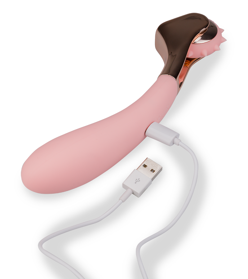 Vibrator with Wartenberg pinwheel