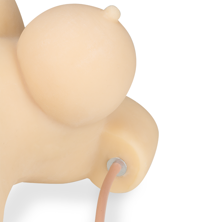 Virginia ass and vagina sex torso with suction and audio feature 8.00 lb